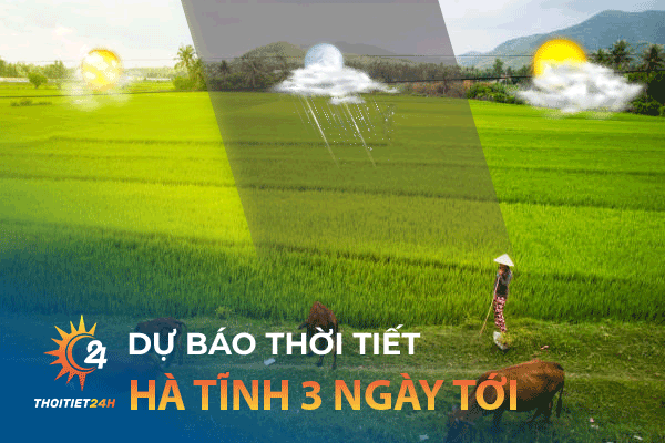 Thời tiết Hà Tĩnh 3 ngày tới: Khám phá làng nghề chiếu cói Nam Sơn