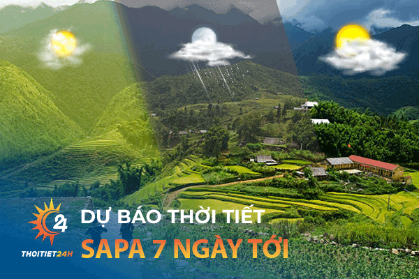 Dự báo thời tiết Sapa 7 ngày tới - Nên đi đâu, làm gì ở Sapa?