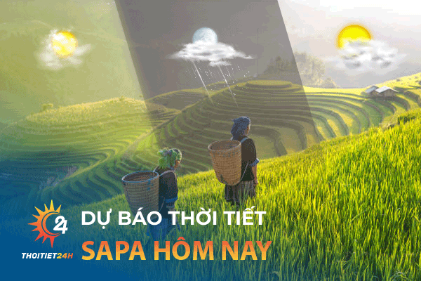 Cập nhật thời tiết Sapa hôm nay - Đặc điểm khí hậu Sapa