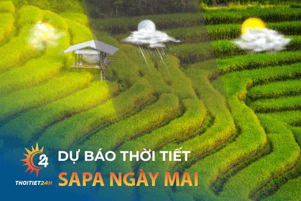 Dự báo Thời tiết Sapa ngày mai? Đi du lịch Sapa mùa nào đẹp nhất?