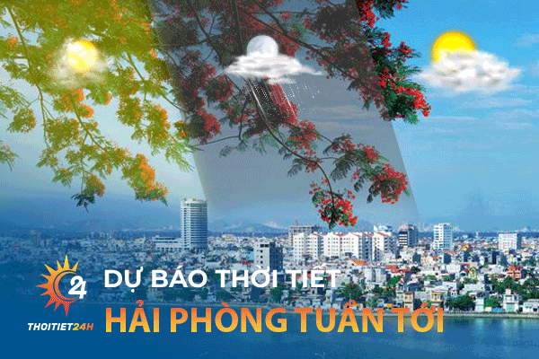 Thời tiết Hải Phòng tuần tới - Kinh nghiệm du lịch Hải Phòng tự túc