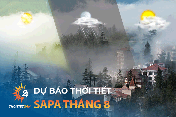 Thời tiết Sapa tháng 8 có nên đi du lịch không? Nhiệt độ Sapa? 