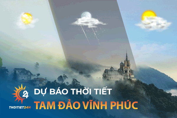 Dự báo thời tiết Tam Đảo Vĩnh Phúc hàng ngày: Ăn - chơi hết Tam Đảo 