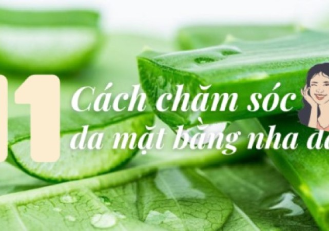 11 cách chăm sóc da mặt bằng nha đam cho da trắng, sáng