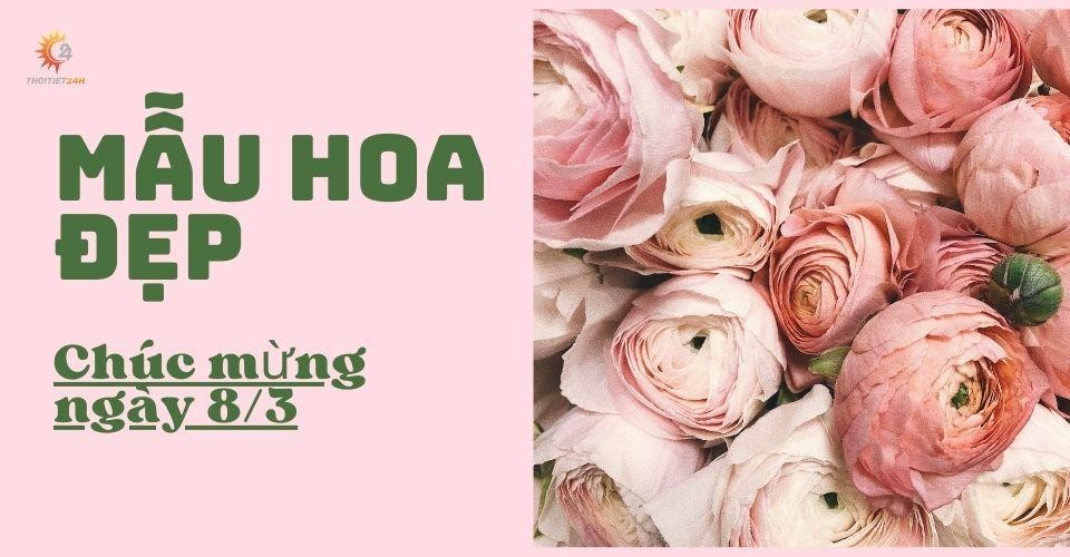 10 + mẫu hoa chúc mừng ngày 8/3 đẹp, cách cắm hoa 8/3 ý nghĩa