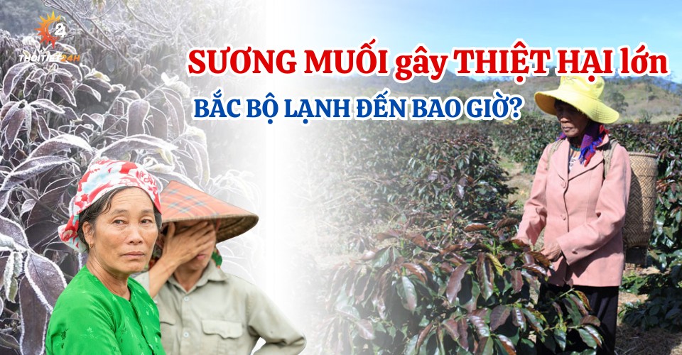 Khóc ròng vì sương muối, Bắc Bộ còn bao nhiêu đợt không khí lạnh?