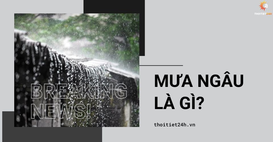 Mưa ngâu là gì? Khoa học giải thích vì sao mưa ngâu tháng 7?