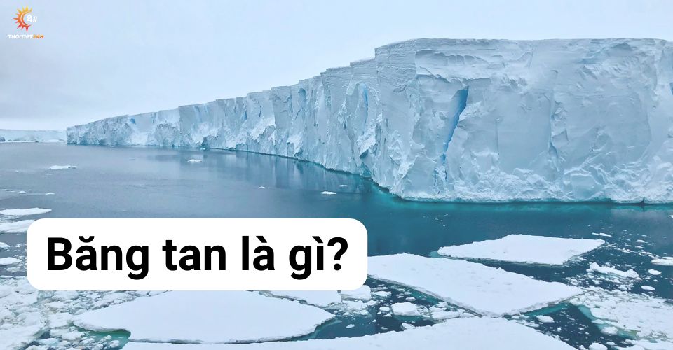 Băng tan là gì? Vì sao nó đe dọa môi trường sống của chúng ta?
