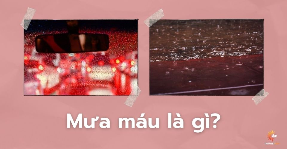 Mưa máu là gì? Bí ẩn đằng sau hiện tượng khiến nhiều người sợ hãi Mưa máu là gì? Bí ẩn đằng sau hiện tượng khiến nhiều người sợ hãi