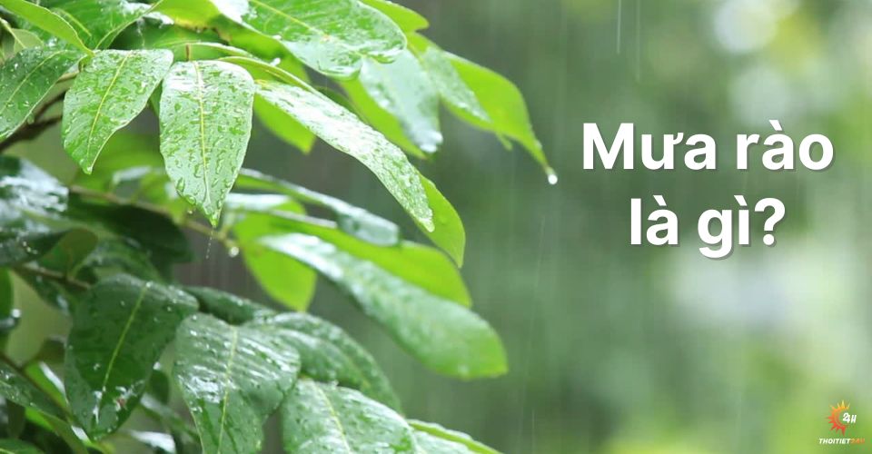 Mưa rào là gì? Giải đáp lý do trước cơn mưa rào trời luôn oi bức