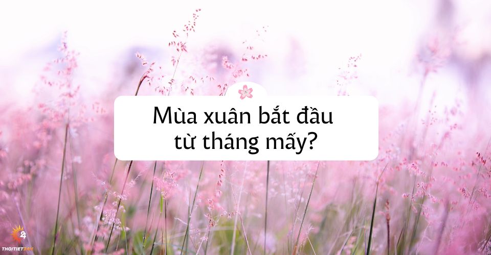 Mùa xuân bắt đầu từ tháng mấy? Đặc điểm thời tiết như thế nào?