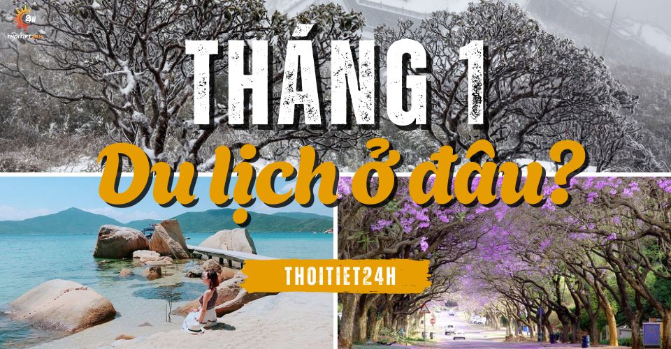 Tháng 1 nên đi du lịch ở đâu? Săn hoa, đón nắng đầu năm rực rỡ