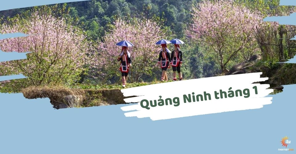 Thời tiết Quảng Ninh tháng 1 có thích hợp du xuân? Giải đáp thắc mắc Thời tiết Quảng Ninh tháng 1 có thích hợp du xuân? Giải đáp thắc mắc