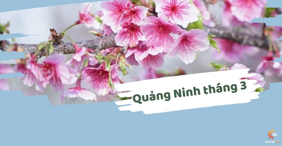 Thời tiết Quảng Ninh tháng 3: Du lịch mùa đẹp nhất trong năm