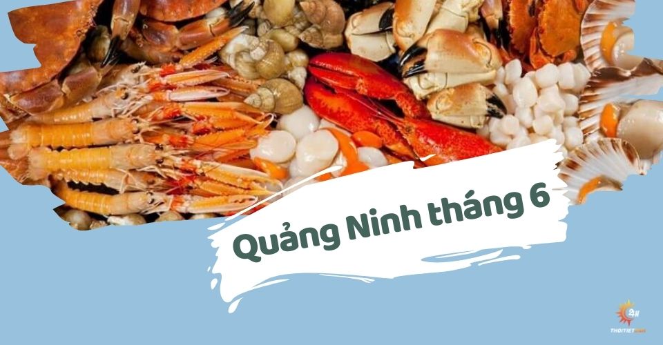 Thời tiết Quảng Ninh tháng 6: Tận hưởng mùa hè rực rỡ tại đất cảng