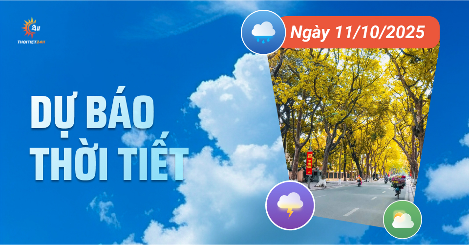 Dự báo thời tiết ngày 11/10/2025: HN hửng nắng, TP.HCM mưa dông