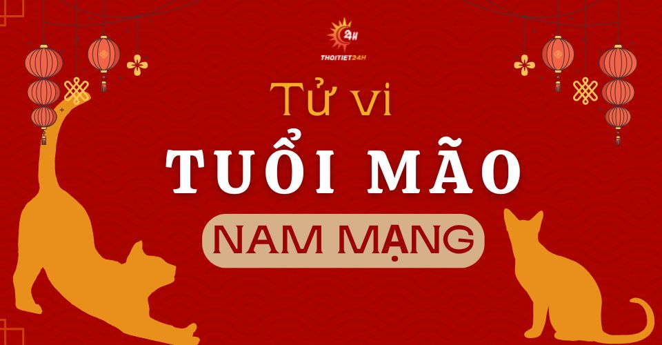 Tử vi tuổi Mão 2026 nam mạng nhiều biến động, chờ cơ hội bứt phá
