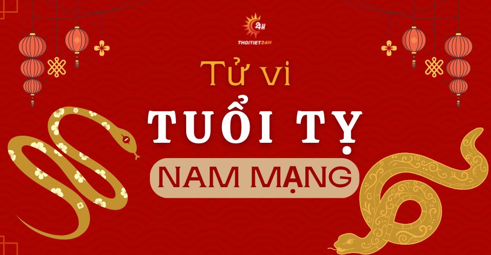 Tử vi tuổi Tỵ 2026 nam mạng: TÌNH DUYÊN khởi sắc, gia đạo đón Hỷ không ngừng