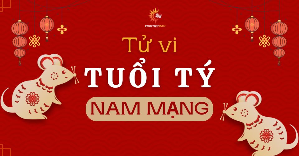 Tử vi tuổi Tý 2026 nam mạng: Chủ động đón đầu CƠ HỘI, bùng nổ TIỀN BẠC