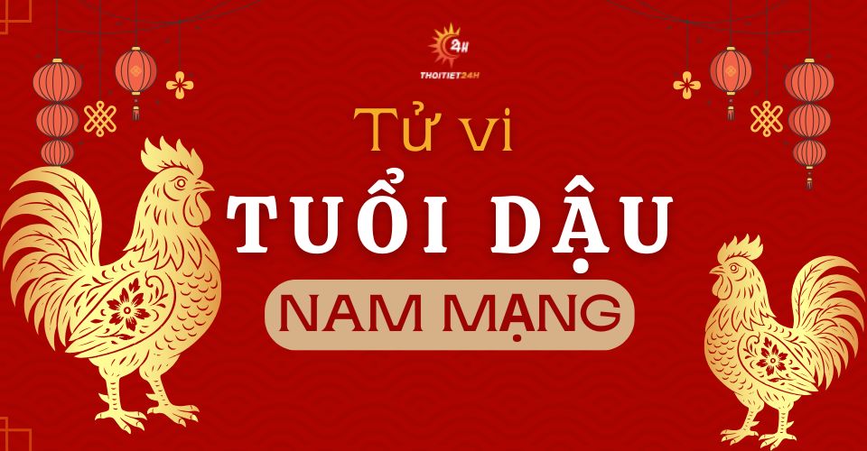 Tử vi tuổi Dậu 2026 nam mạng: Kinh doanh khởi sắc, tiền tài nở rộ