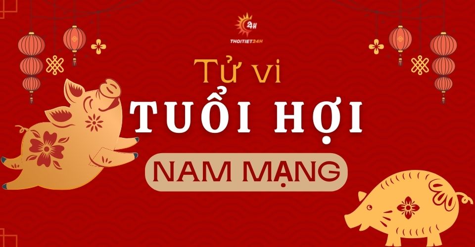 Tử vi tuổi Hợi 2026 nam mạng: Hung cát đan xen, lưu ý về sức khỏe