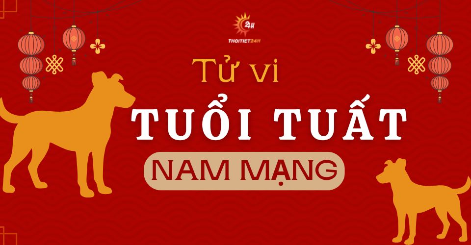 Tử vi tuổi Tuất 2026 nam mạng: Đối mặt với nhiều khó khăn và thử thách