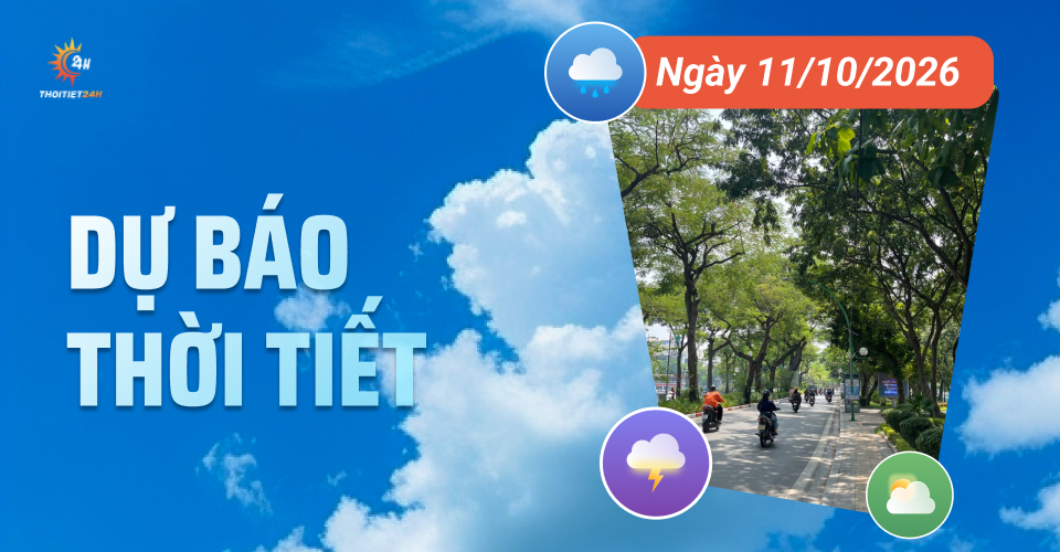 Dự báo thời tiết ngày 11/10/2026: HN hửng nắng, TP.HCM mưa dông