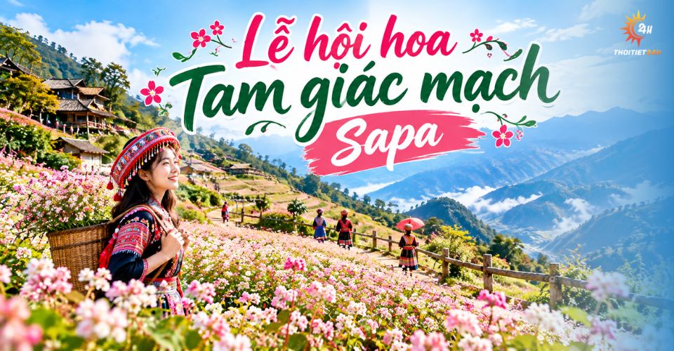 Lễ hội hoa tam giác mạch Sapa: Trải nghiệm độc đáo giữa lòng Tây Bắc