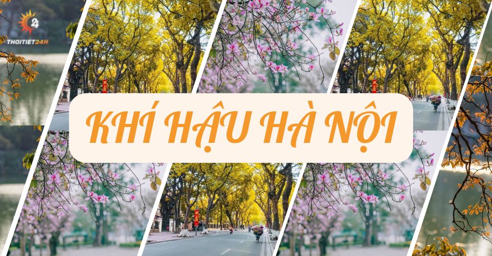 Khí hậu Hà Nội như thế nào? Kinh nghiệm du lịch Hà Nội 4 mùa