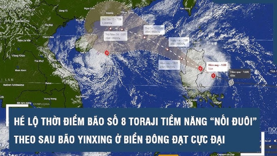 Bão số 8 (TORAJI) đổ bộ Biển Đông, tỉnh nào trong vòng nguy hiểm?