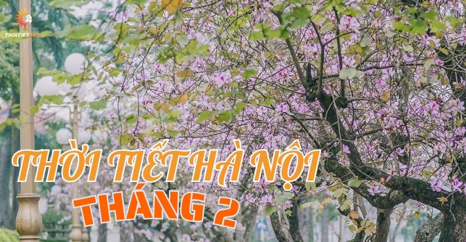 Thời tiết Hà Nội tháng 2 bao nhiêu độ? Nồm ẩm đến bao giờ?