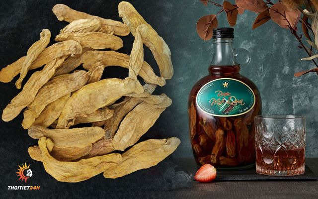 Rượu mỏ quạ Phú Quốc