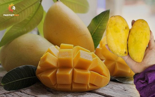 Xoài Thanh Ca Phú Quốc