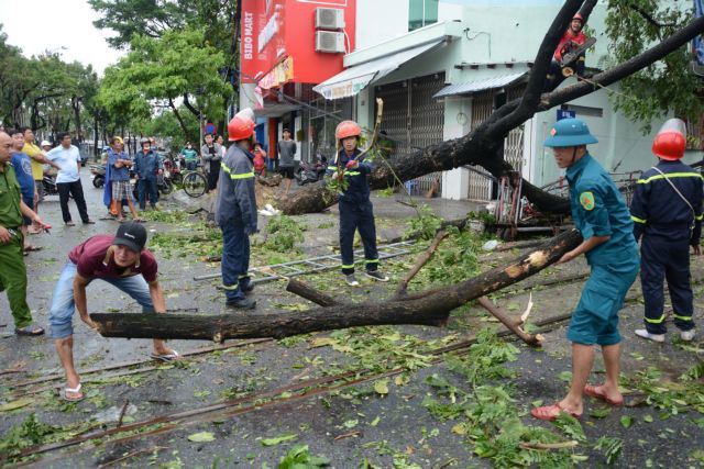 Dọn dẹp nhà cửa sau cơn bão