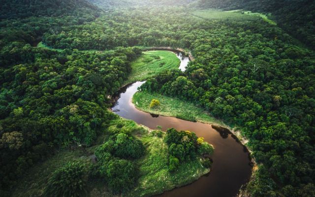  Hệ sinh thái đang bị đảo lộn