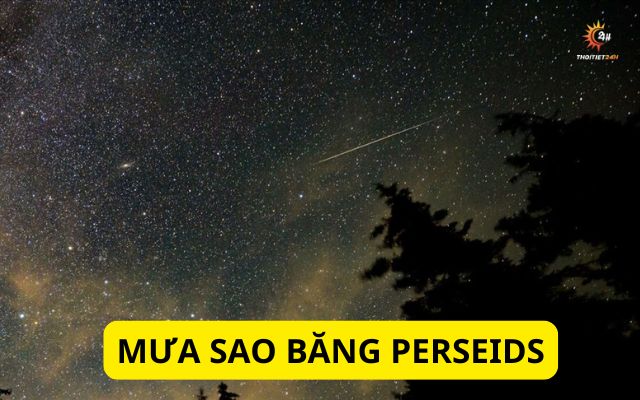 Mưa sao băng Perseids