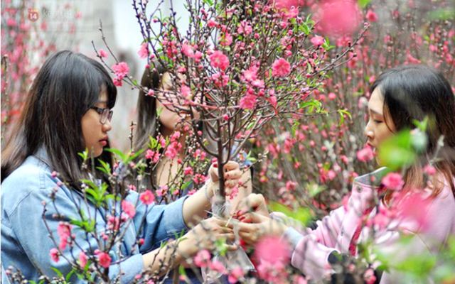 Thời tiết mùa xuân khá dễ chịu