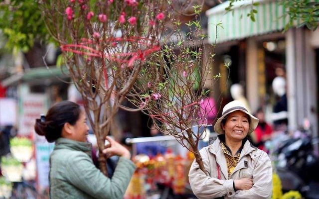 Các dấu hiệu nhận biết mùa xuân đến
