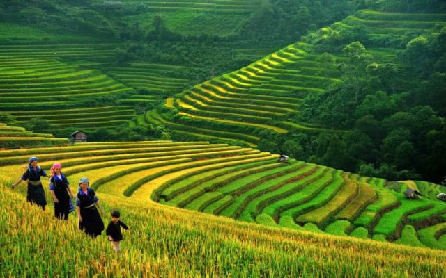 Du lịch hè Sapa
