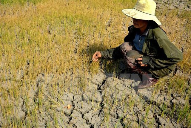  Biến đổi khí hậu gia tăng