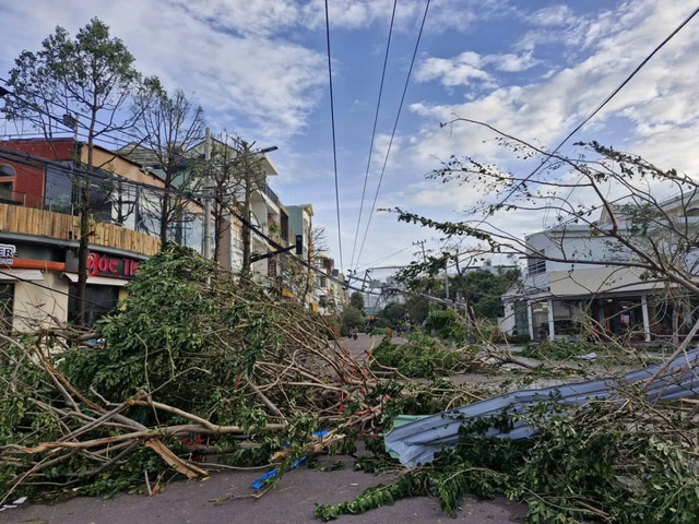Cây cối bị quật đổ nằm la liệt trên đường phố