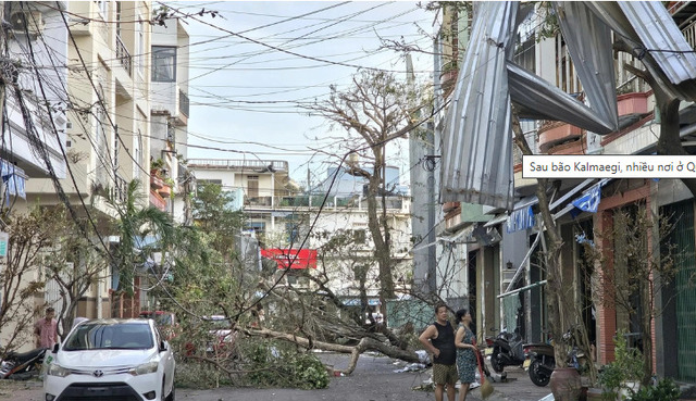 Mái tôn bay tứ tung, nhiều cây xanh bị bật gốc ở đường Nguyễn Trãi, Quy Nhơn