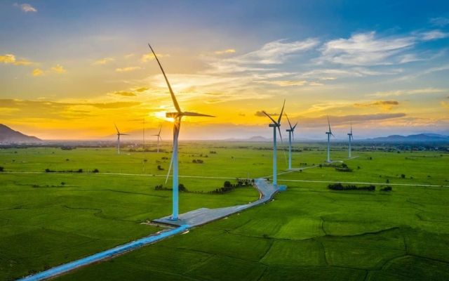Cánh đồng quạt gió Đầm Nại