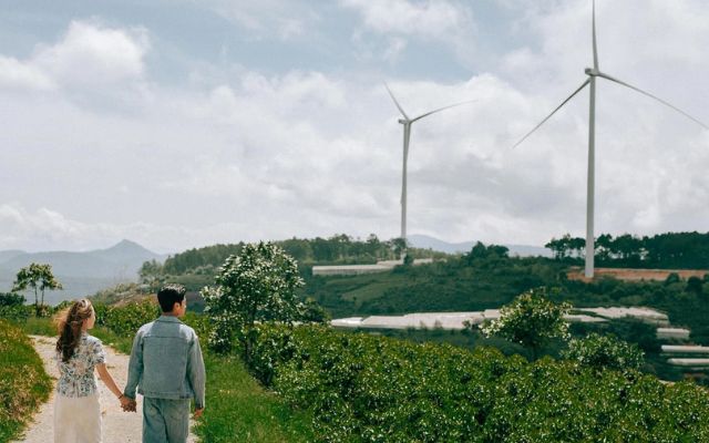 Cánh đồng quạt gió Cầu Đất