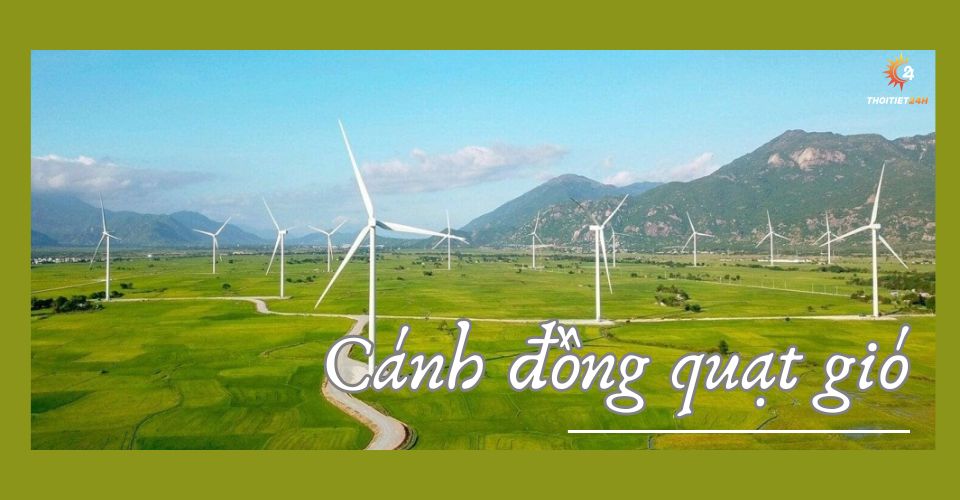 Hình ảnh của cánh đồng quạt gió