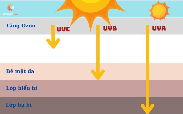 Tia UV được phân loại thành 3 tia UVC, UVB, và UVA