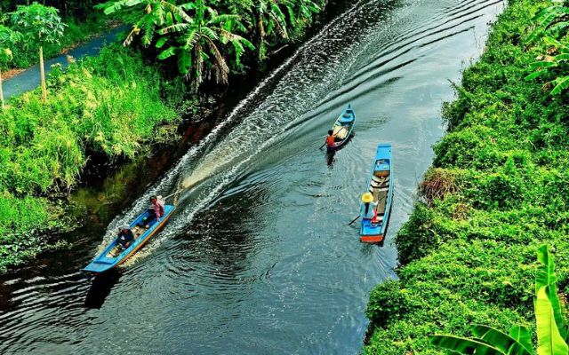 Tham quan rừng U Minh Hạ