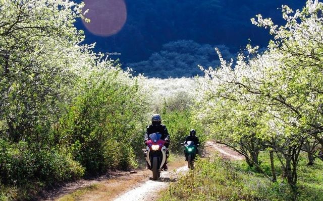Thời tiết tháng 2 tương đối lý tưởng