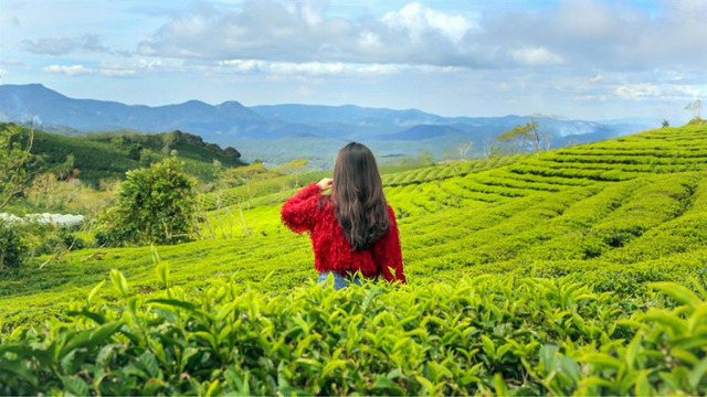  Hòa mình với thiên nhiên ở Mộc Châu