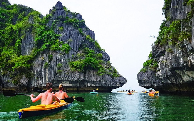  Chèo thuyền Kayak ở Vịnh Lan Hạ